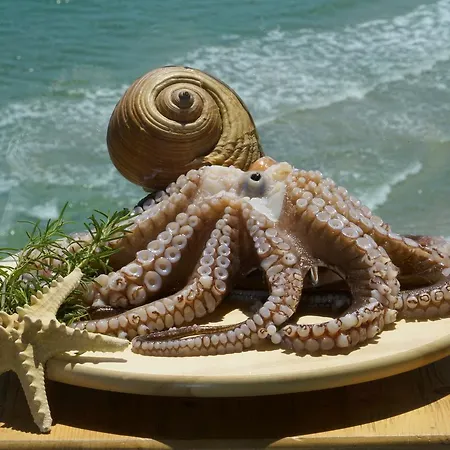 Agorastos 2* Koinyra