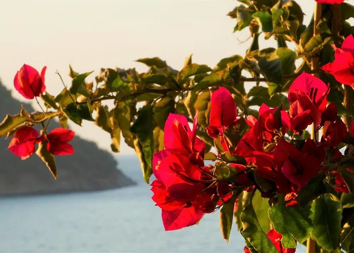 Agorastos מלון 2*