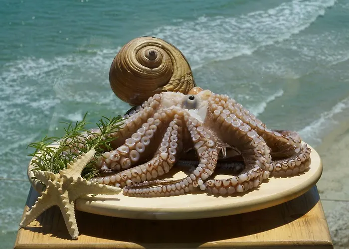 Agorastos 2* קואינירה